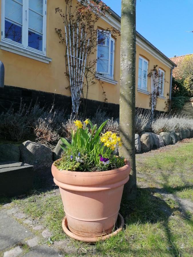 Hotel Femmasteren & 3*